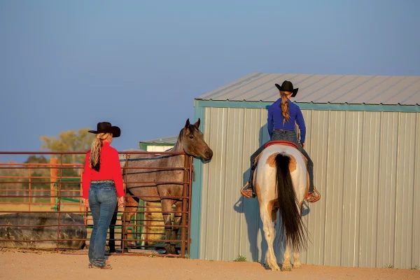 Using a wall in front of the horse to teach the sidepass.