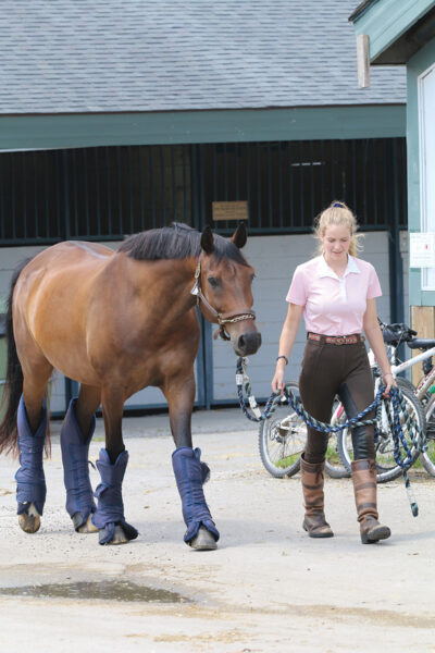 A young rider leading her horse wearing shipping boots