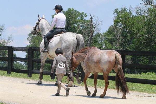 A trainer rides her horse alongside a youth client leading her pony. To become a horse trainer as a career entails more than one thinks.