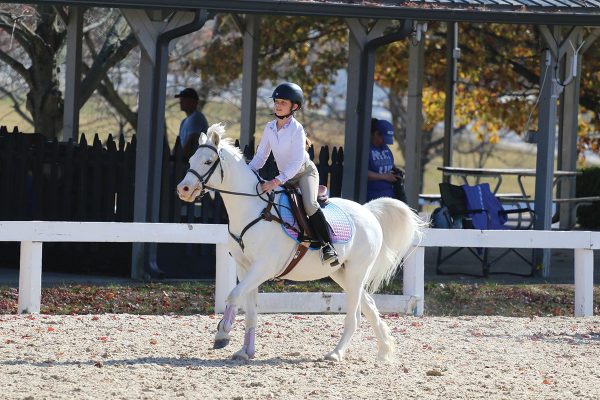 A young rider competing on a white-gray pony in dressage