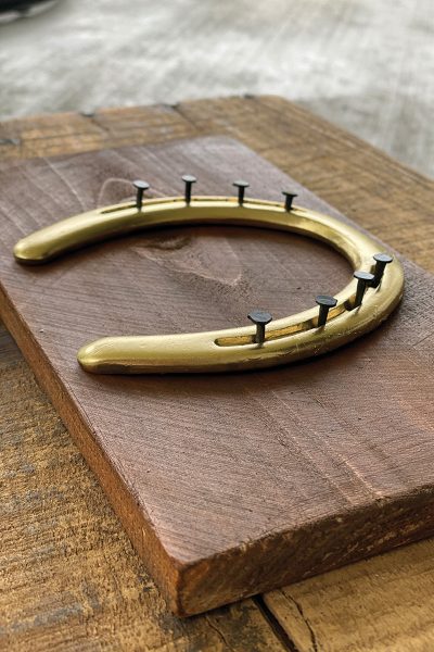 A horseshoe DIY jewelry holder