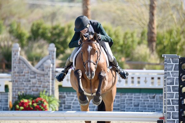 An equestrian competes in hunters