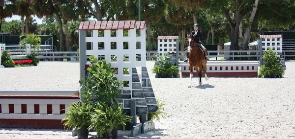 A rider counting their strides on a hunter course.