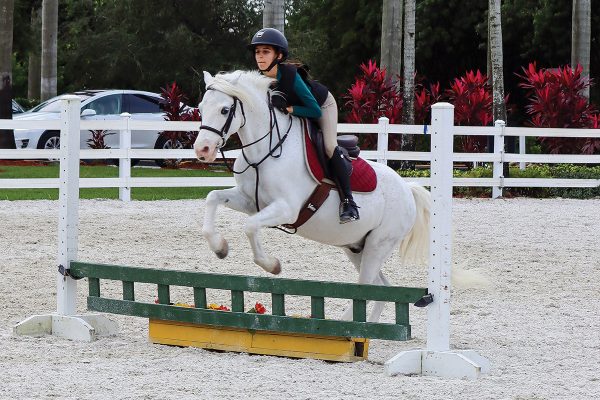 A young rider jumping her pony