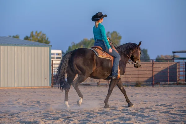 A rider trotting her horse.