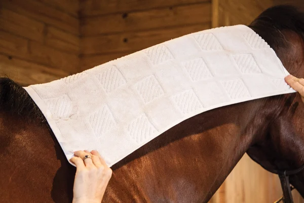 A hot towel laid over the mane, which is a top piece of professional horse grooming advice.