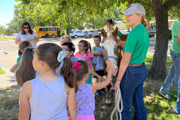 Maysie with her Shetland/Haflinger cross, Buddy, at a 4-H demonstration.