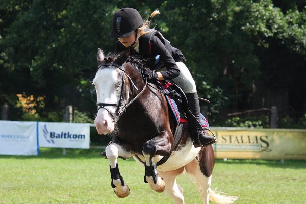 A young girl jumps a horse