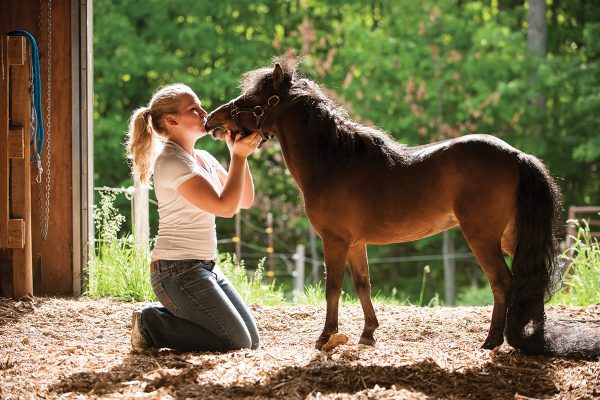 A girl kisses a pony