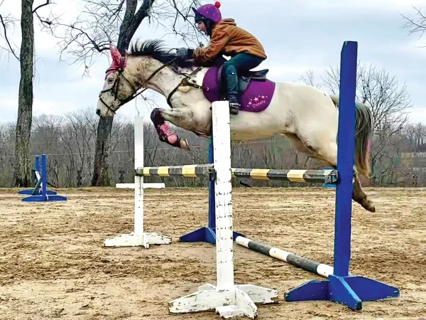 Grace jumping her new horse, Dinero.