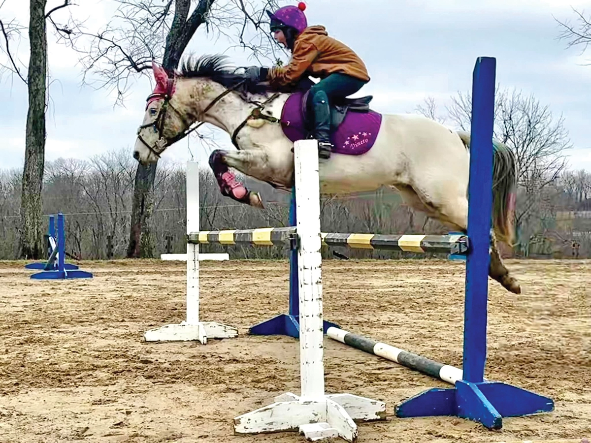 Moving on to a New Horse