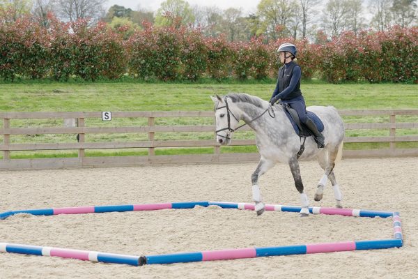 Esme practicing polework on her horse.