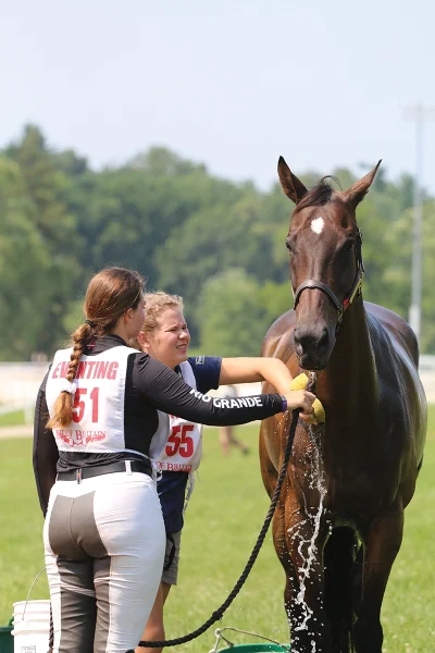 Two young riders sponge down a horse for proper post-ride care and cooling out.