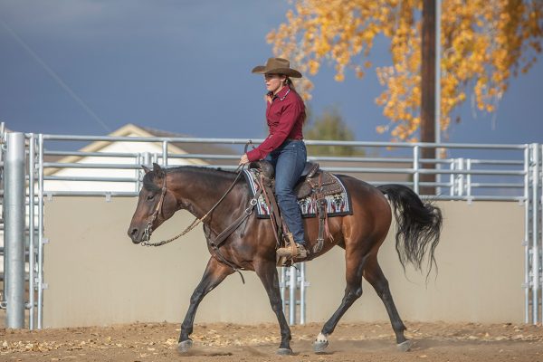 Posting Diagonals in Versatility Ranch Horse Competitions