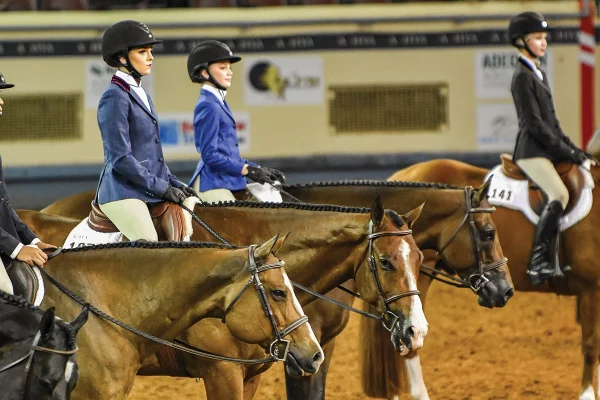 The hunter under saddle line-up at the AQHYA World Show.