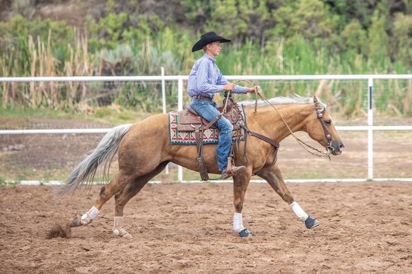 A young boy riding a palomino