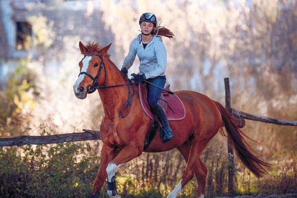 A young equestrian on her horse