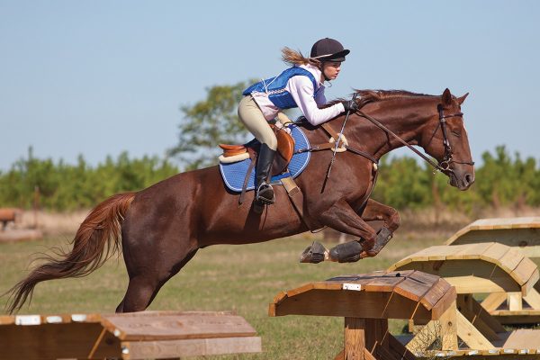 A horse and rider go over a cross-country jump