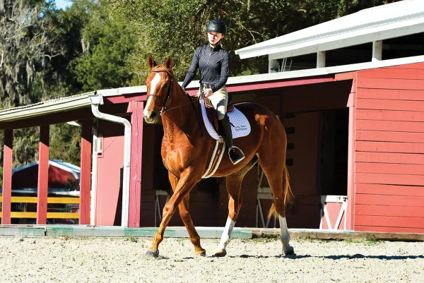 A young equestrian riding her horse in a serpentine.