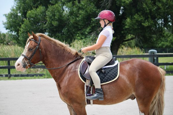 An equestrian working without stirrups.