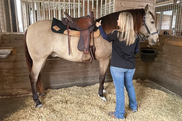 Evaluating the fit of a Western saddle.