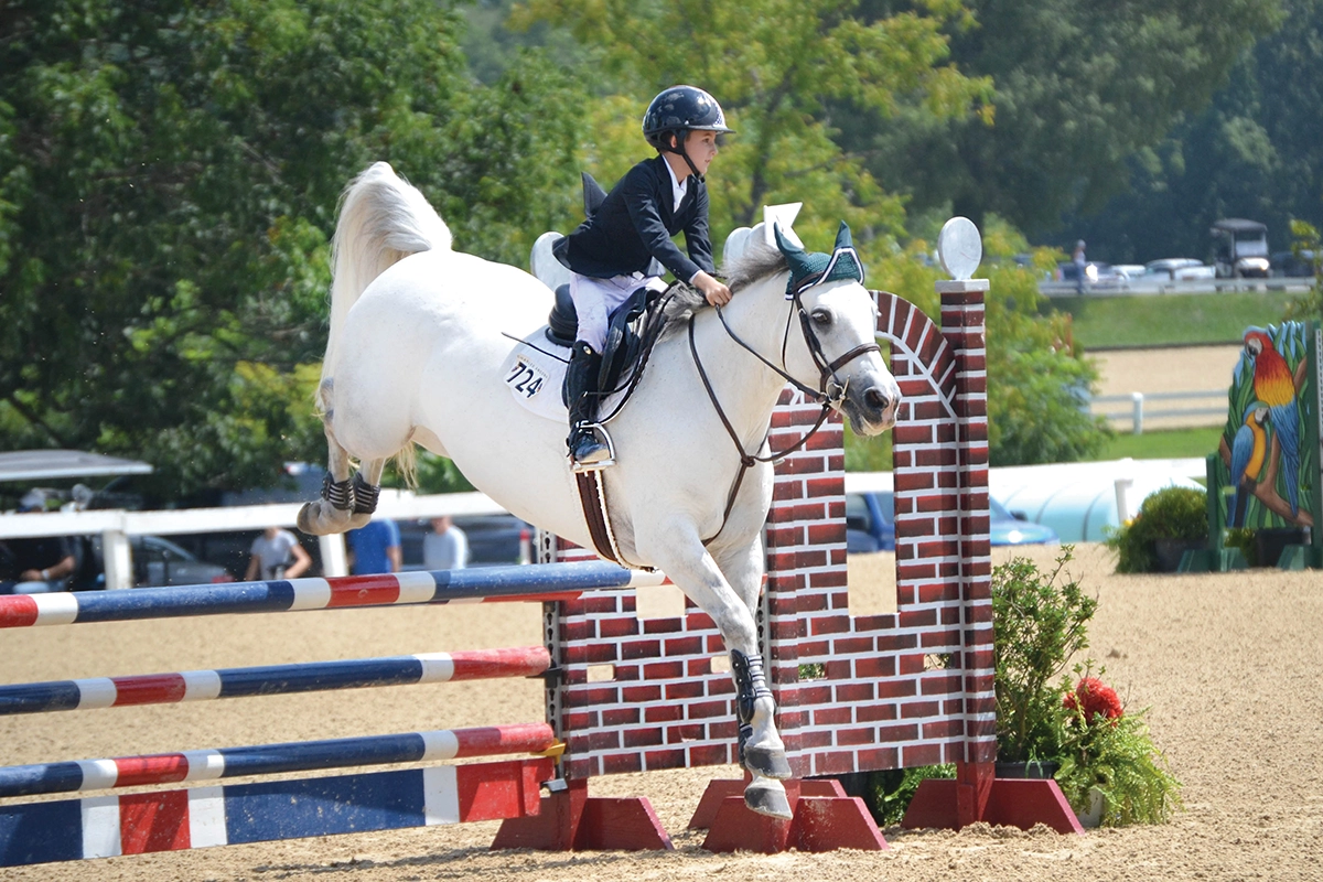 Improve Your Show Jumping Skills