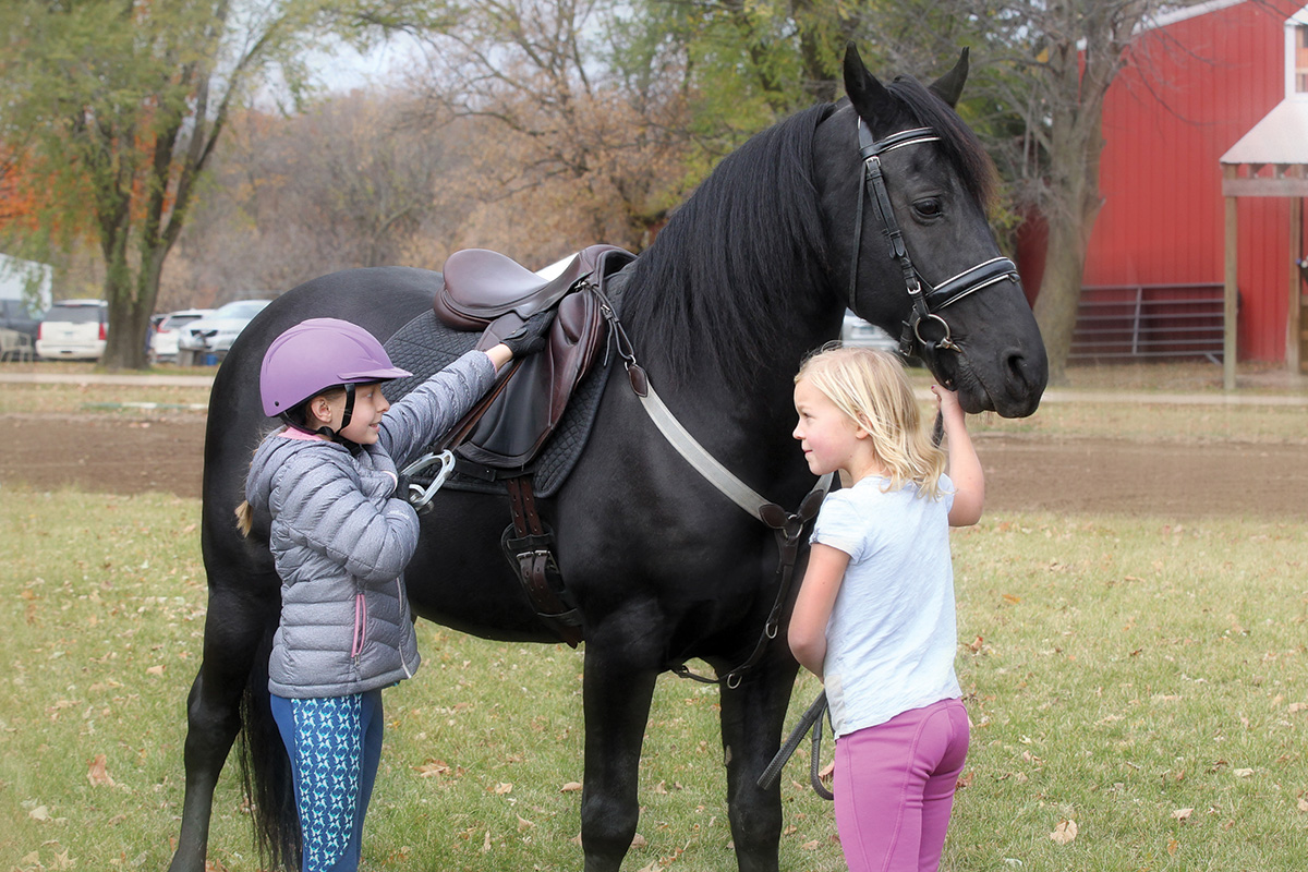 How to Get the Perfect Stirrup Length Young Rider Magazine