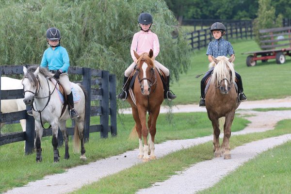 Three young riders ride their ponies alongside each other at summer horse camp
