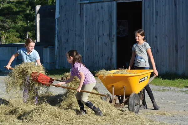 Kids doing barn chores.