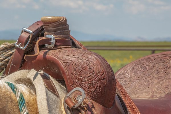 A western saddle horn.