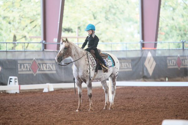A young rider on an Appaloosa at a horse show