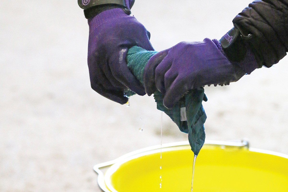 How to Bathe Your Horse in Cold Weather Young Rider Magazine
