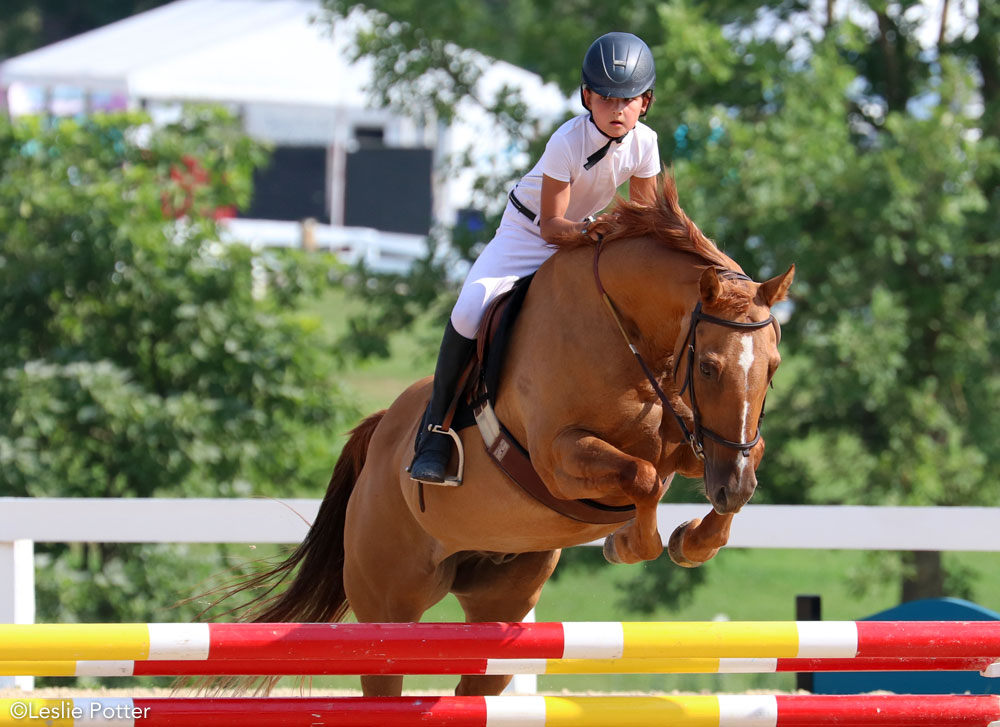 A rider competing in jumpers