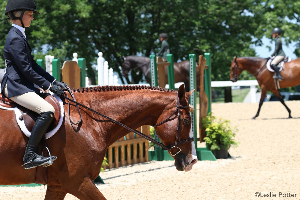 Hunt seat equitation on the flat