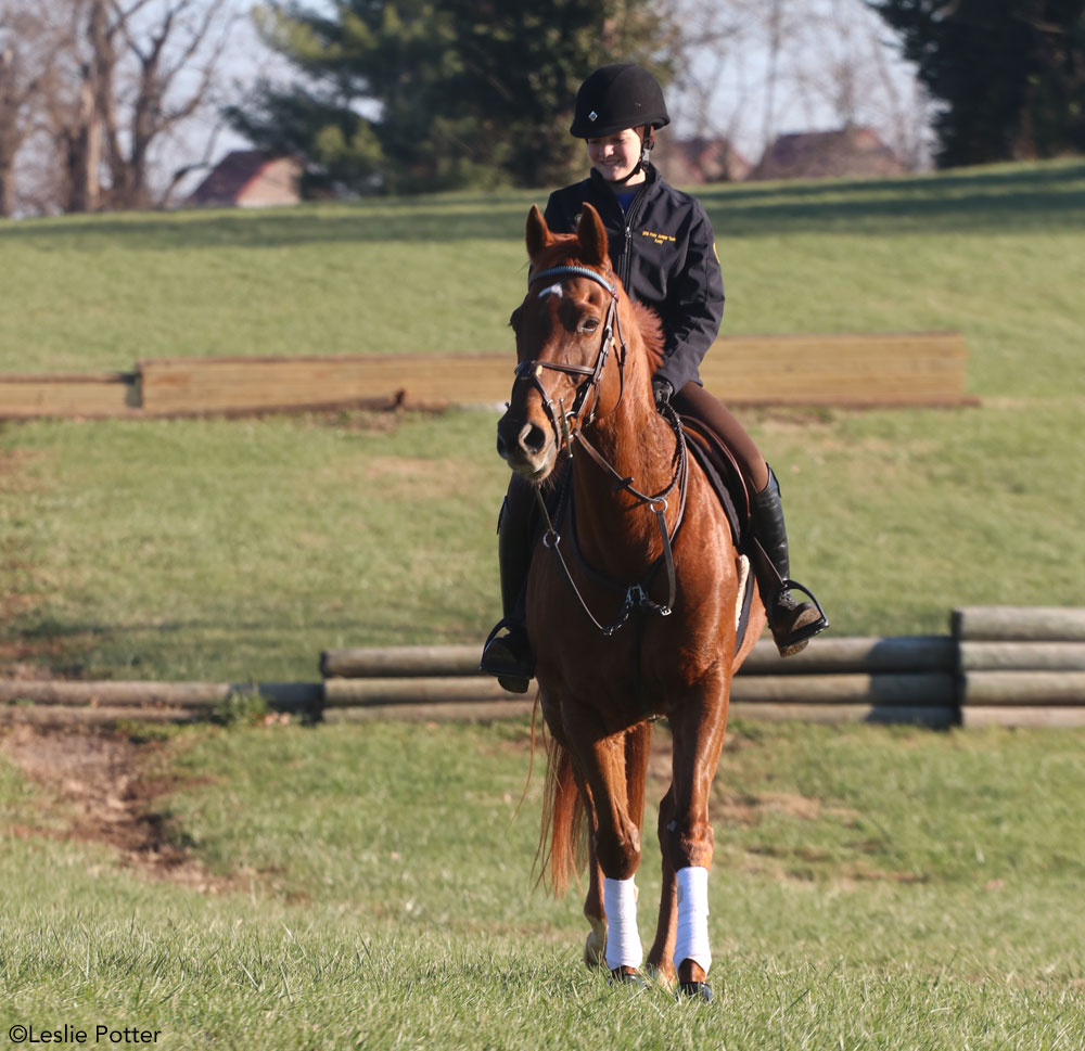 Riding Your Off-The-Track Thoroughbred