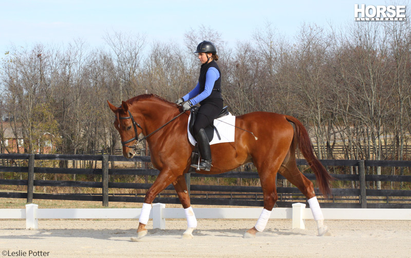 Schooling a dressage horse at the walk