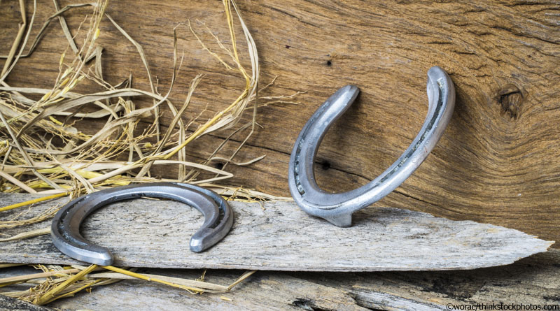 What to Do When Your Horse Loses a Shoe