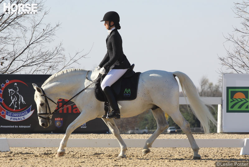 Dressage horse and rider doing a stretchy trot