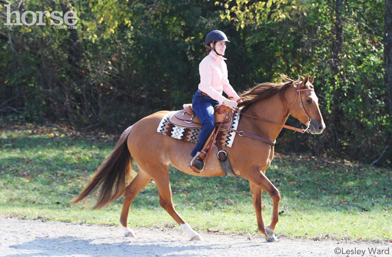 Western horse loping