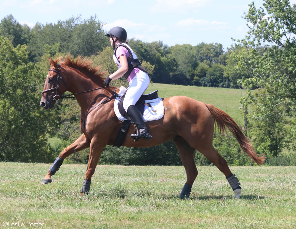 Galloping cross-country- riding real sport 