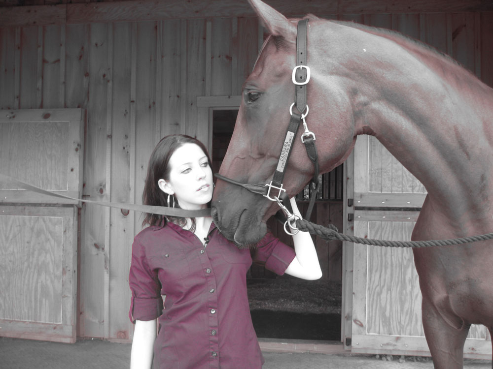 Author Jessica Burkhart- horse book series 