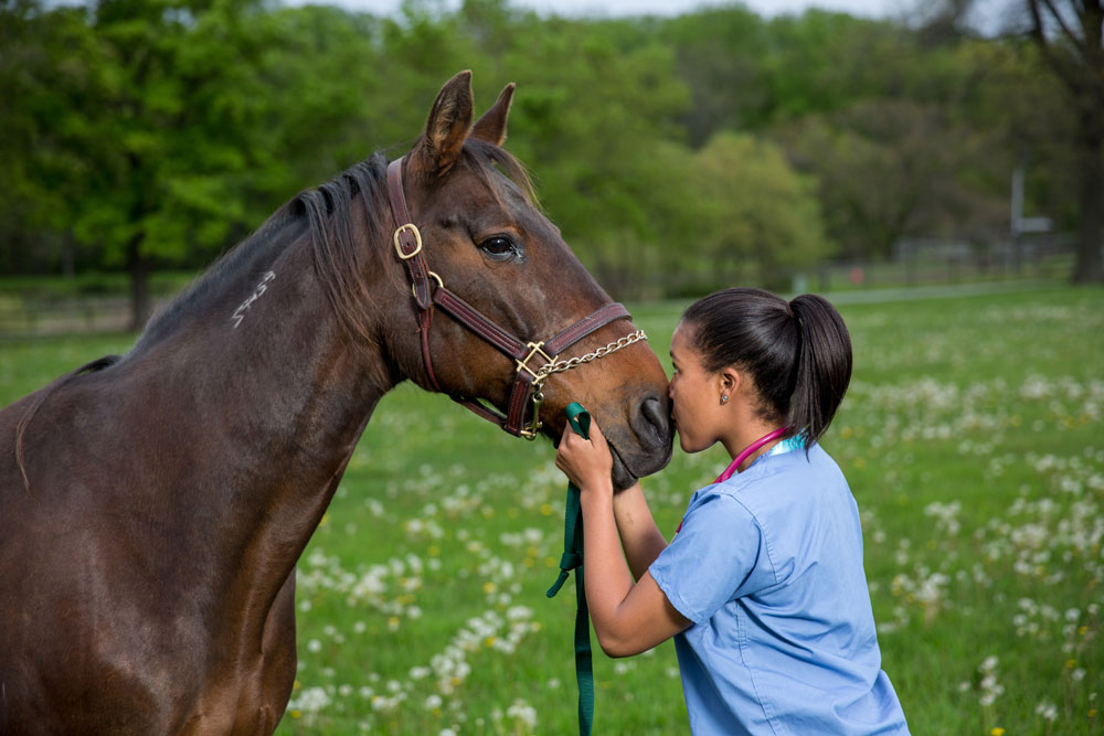 Morgan Taylor from Life at Vet U