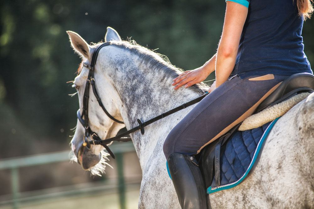 20 Tips for Summer Horse Health