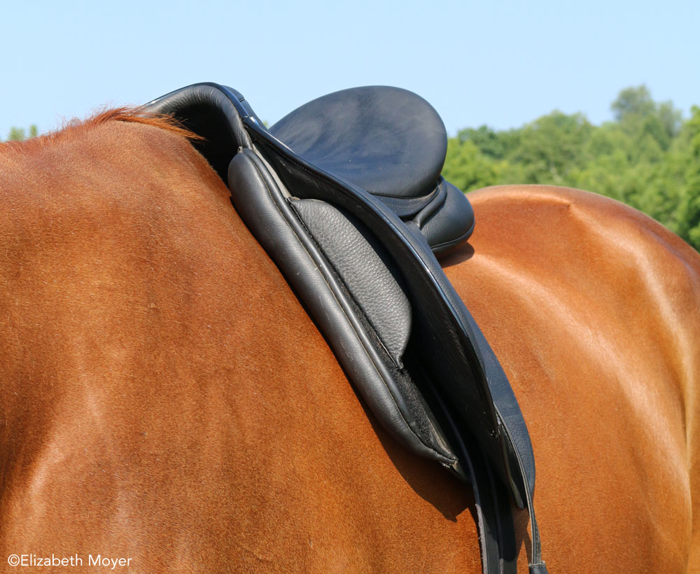 How to Fit an English Saddle
