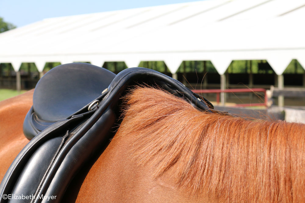 English saddle too wide for the horse