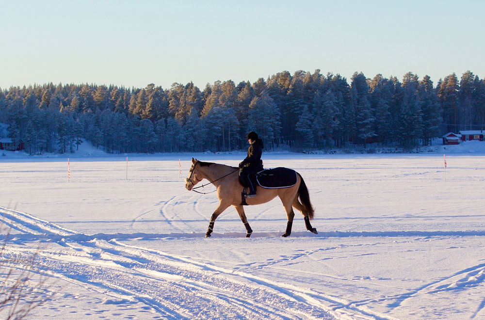 Horseback riding in the snow