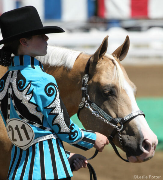 Western Lesson: Showmanship Setup