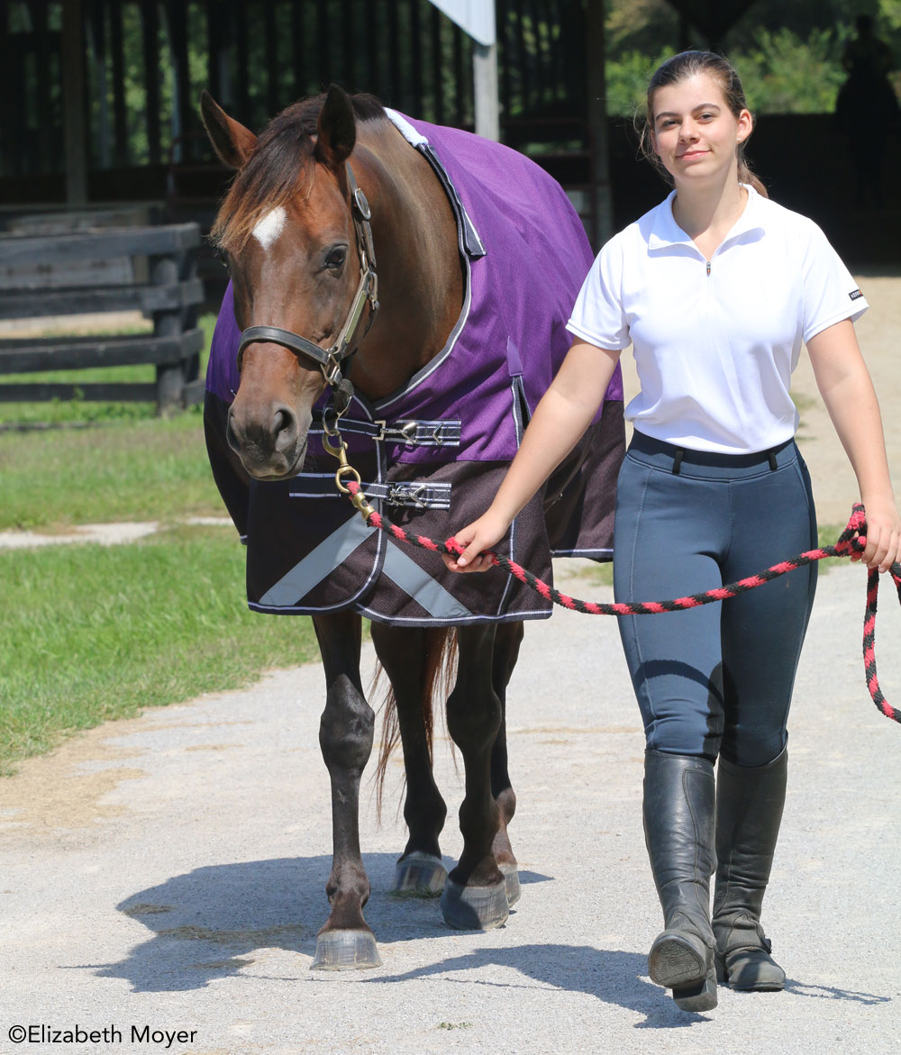 Young equestrian with horse in a blanket