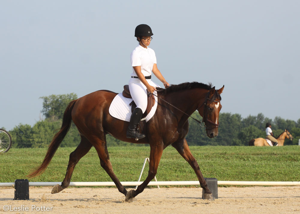 Young Rider competing in a dressage show