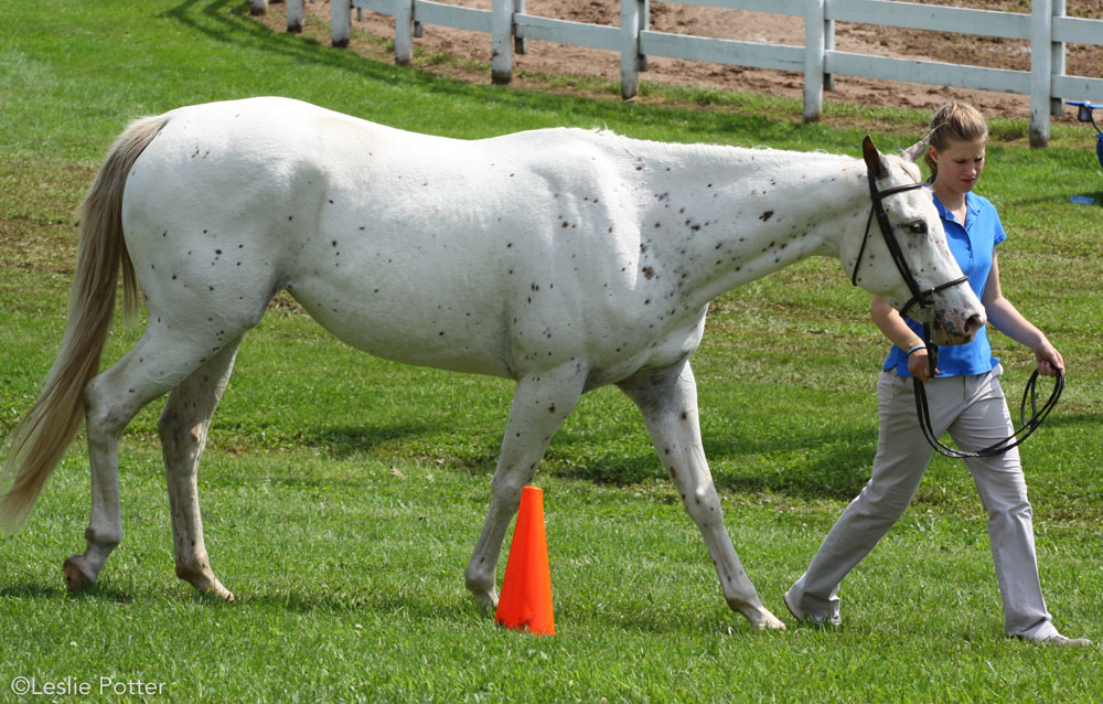 Practicing a showmanship pattern